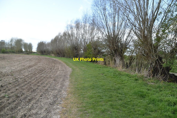 Photo 6"x4" The Shireway Potman's Heath c2021