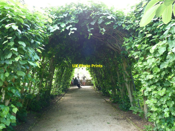 Photo 6"x4" Tunnel of trees Hidcote Bartrim c2010