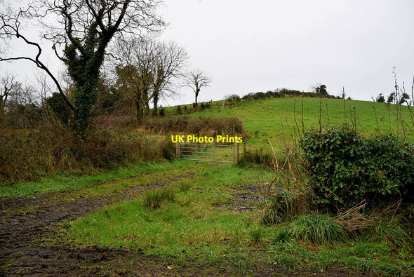 Photo 6"x4" Rough lane to field, Ballygowan Omagh c2021