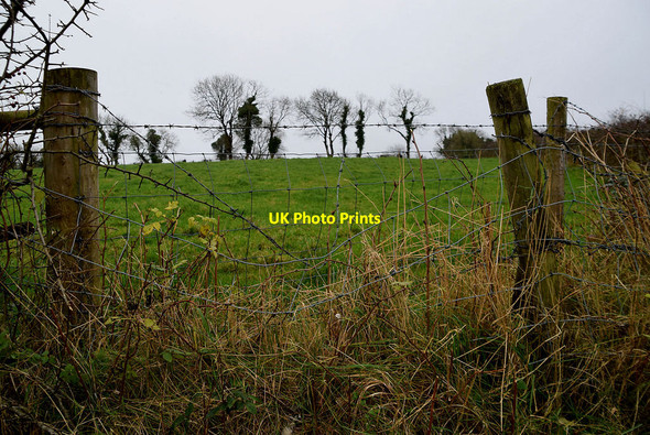 Photo 6"x4" Ballygowan Townland Omagh c2021