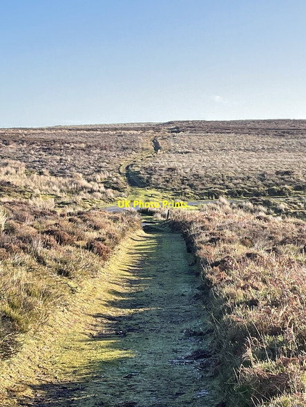 Photo 6"x4" Footpath and road near the top of Wild Moor Medlicott\/SO4094 c2021