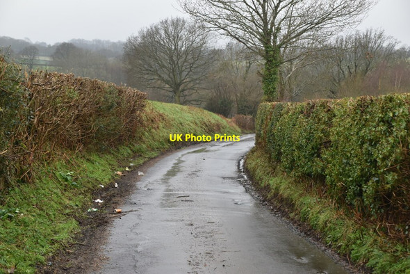 Photo 6"x4" Tinkers Lane Dale Hill\/TQ6930 c2021 P2