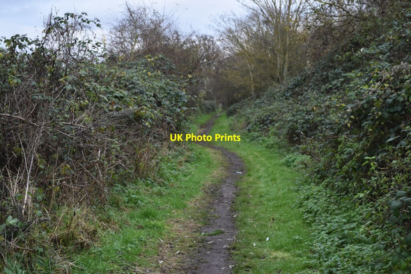 Photo 6"x4" Path beside the railway at Braeburn Park Crayford\/TQ5174 c2021