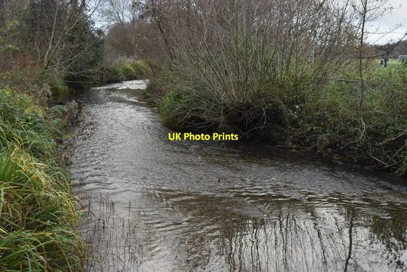Photo 6"x4" River Cray at Hall Place Crayford\/TQ5174 c2021