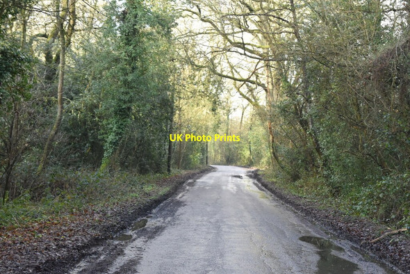 Photo 6"x4" Itchingwood Common Rd Holland\/TQ4050 c2021 P2