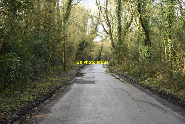 Photo 6"x4" Itchingwood Common Rd Holland\/TQ4050 c2021 P3