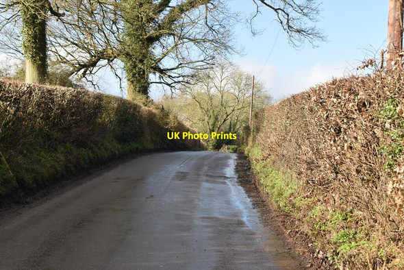 Photo 6"x4" Short Lane Pains Hill\/TQ4151 c2021