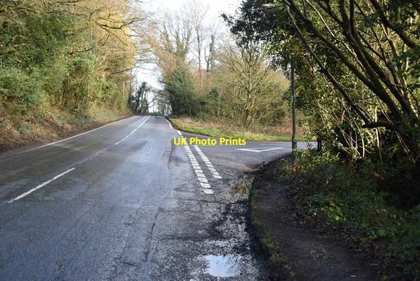 Photo 6"x4" Pollards Wood Rd, New Rd junction Limpsfield Common c2021