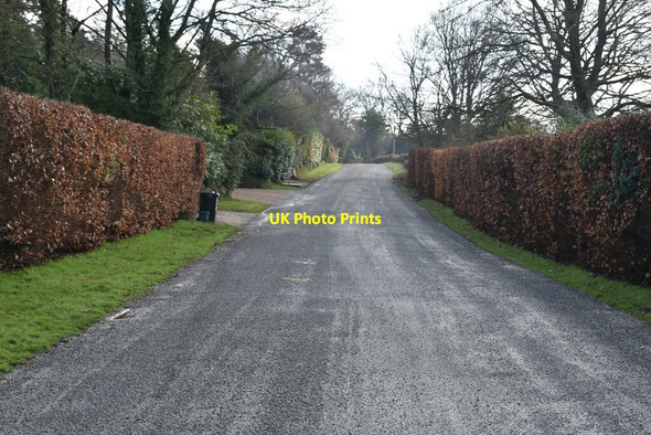 Photo 6"x4" Pastens Rd Pains Hill\/TQ4151 c2021