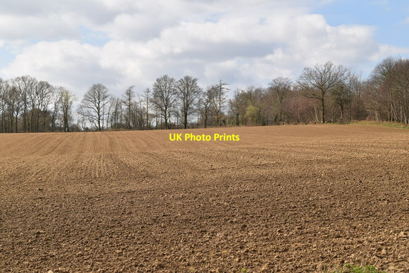 Photo 6"x4" Ploughed field Southover\/TQ6525 c2021