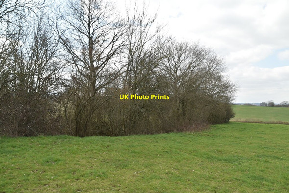 Photo 6"x4" Wooded farm Witherenden Hill c2021