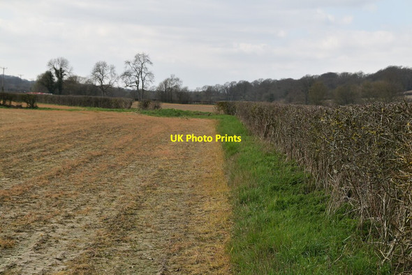 Photo 6"x4" Field edge footpath Witherenden Hill c2021