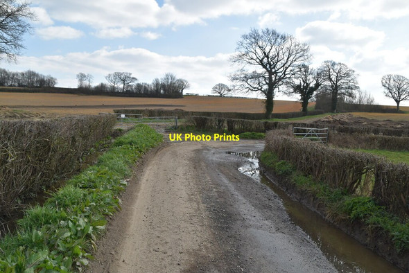 Photo 6"x4" Swife Lane Witherenden Hill c2021