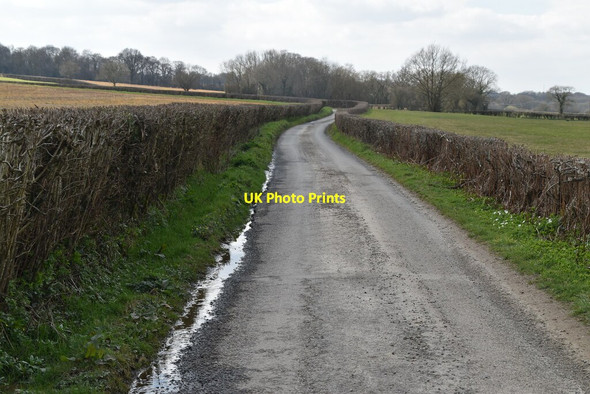 Photo 6"x4" Swife Lane Witherenden Hill c2021 P1