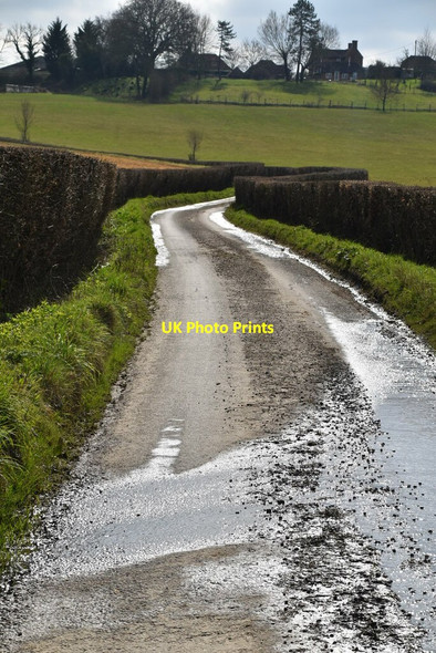 Photo 6"x4" Swife Lane Witherenden Hill c2021