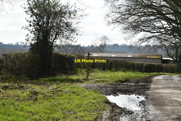 Photo 6"x4" Footpath off Swife Lane Witherenden Hill c2021