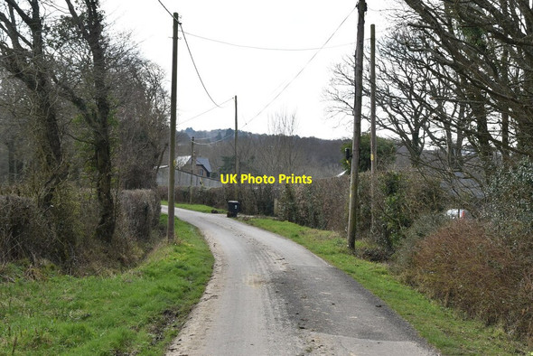 Photo 6"x4" Swife Lane Burwash Common c2021