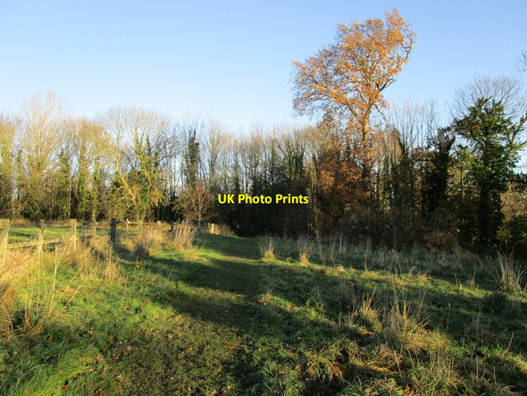 Photo 6"x4" Footpath alongside Froggatt's Field Southwell\/SK7053 c2021