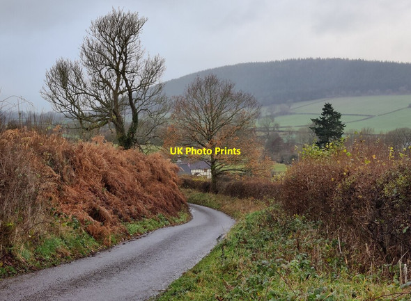 Photo 6"x4" Lane descending towards Clunton village Clunton c2021