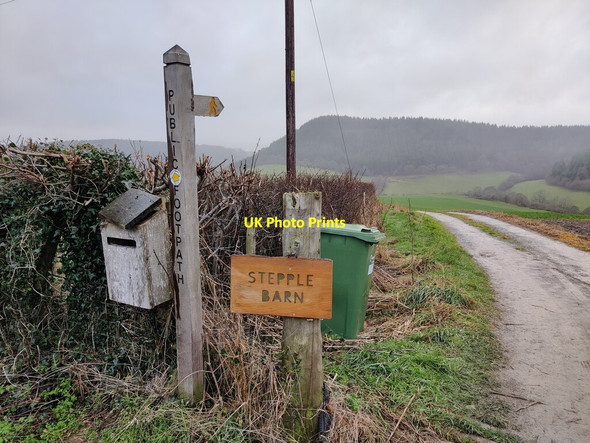 Photo 6"x4" Footpath to Stepple Barn Lower Down\/SO3384 c2021