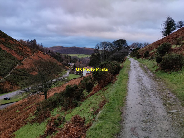 Photo 6"x4" The Burway Track in the Carding Mill Valley Ashbrook\/SO4594 c2021 P1