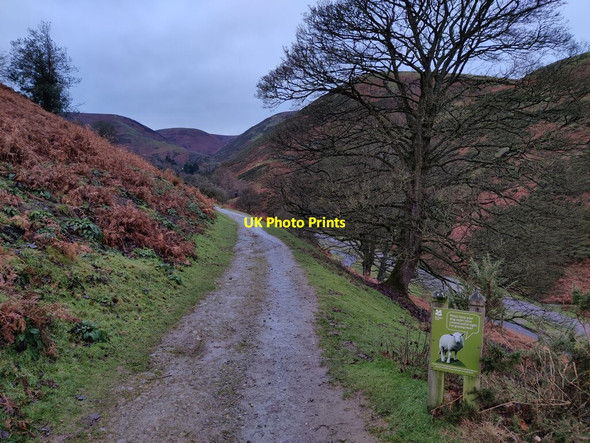Photo 6"x4" The Burway Track descending to the Carding Mill Valley Ashbrook\/SO4594 c2021