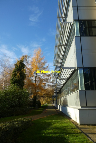 Photo 6"x4" Path beside Chemistry D block Heslington c2021