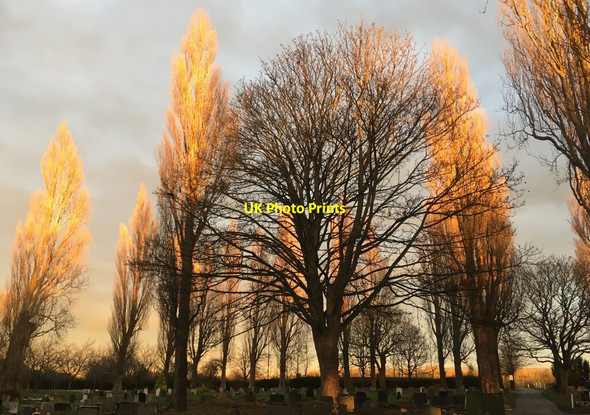 Photo 6"x4" Thornaby cemetery  Thornaby-on-Tees c2020