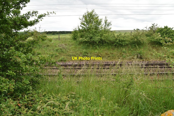 Photo 6"x4" The Cambridge Line The Thrift c2021