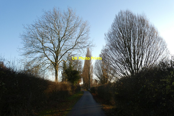 Photo 6"x4" Bridleway on Fulford Golf Course Fulford\/SE6149 c2021