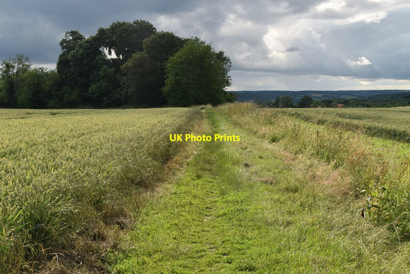 Photo 6"x4" Footpath to Hills Wood Parmoor c2021