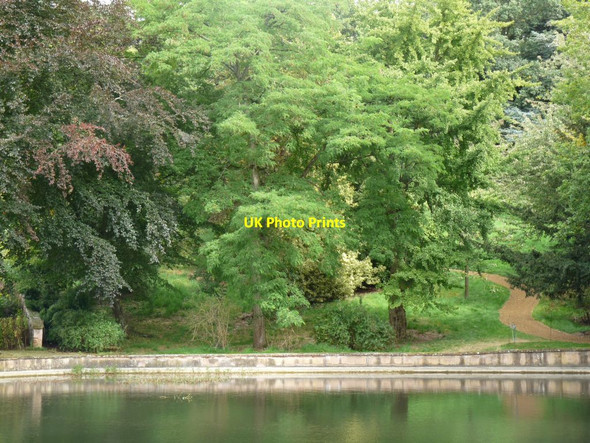 Photo 6"x4" Across the  Mirror Pool Lower Tysoe c2009