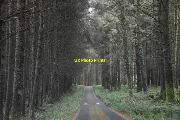 Photo 6"x4" Lough Navar Scenic Drive Derrygonnelly c2021