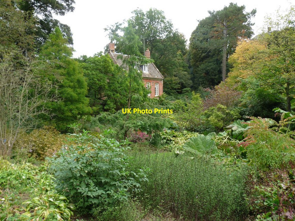 Photo 6"x4" Bog Cottage Lower Tysoe c2009