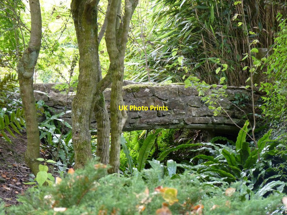 Photo 6"x4" Stone bridge in the bog garden Lower Tysoe c2009