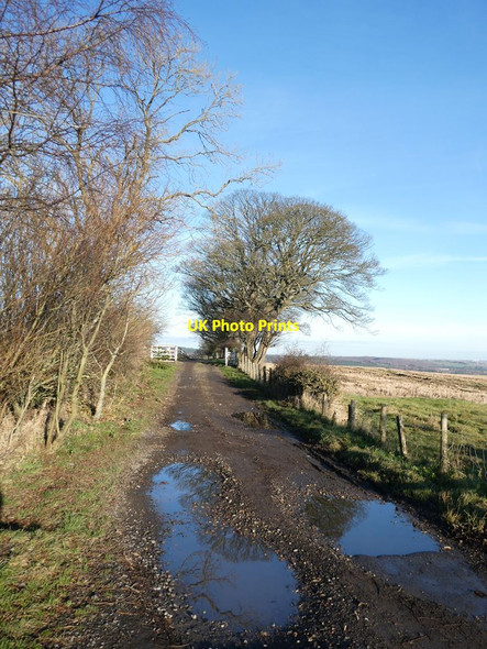 Photo 6"x4" Farm road near East Farm, Medomsley Den c2021