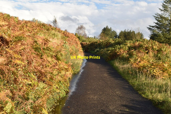 Photo 6"x4" Track up Banagher Glen Dungiven c2021