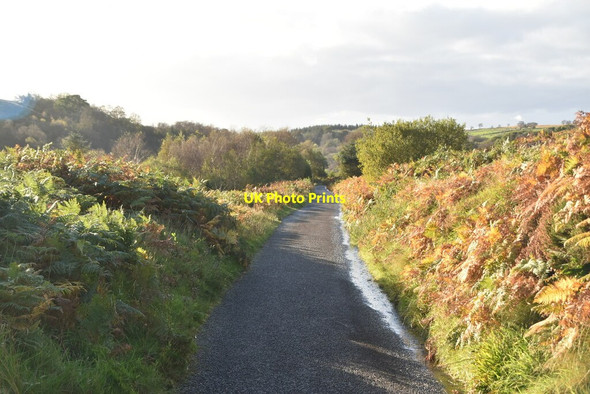Photo 6"x4" Moorland above Banagher Glen Dungiven c2021