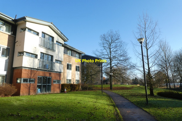 Photo 6"x4" Path to New Vanbrugh York\/SE5951 c2021