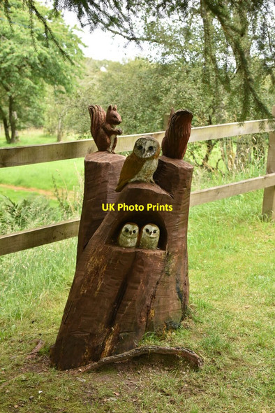 Photo 6"x4" Owls and squirrel Ellan c2021