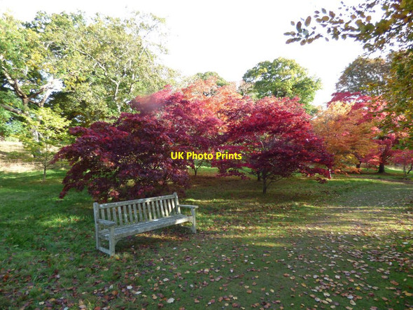 Photo 6"x4" Bench by the Acers Brymbo\/SH8071 c2017