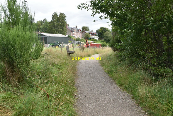 Photo 6"x4" Riverside footpath Carrbridge \/ Drochaid Ch\u00e0rr c2021