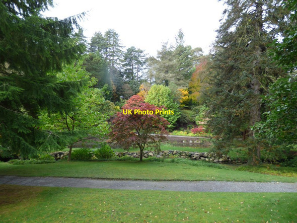 Photo 6"x4" The River Hiraethlyn coming from the Far End Tal-y-cafn c2017