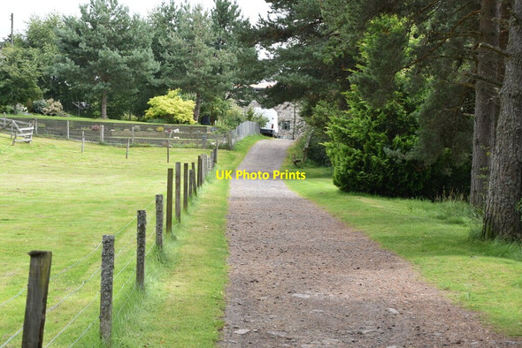 Photo 6"x4" Riverside footpath Carrbridge \/ Drochaid Ch\u00e0rr c2021