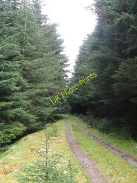 Photo 6"x4" Forestry track below Beinn Bh\u00c3\u00a0n Laggan\/NN2996 c2009