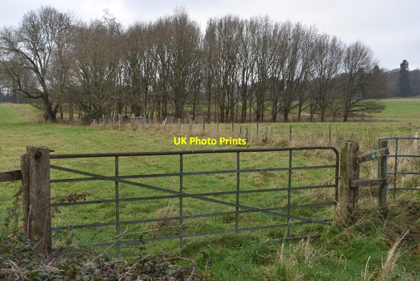 Photo 6"x4" Gate on Breamore Estate Breamore c2021