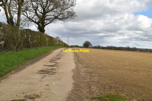 Photo 6"x4" Farm track Newenden c2021
