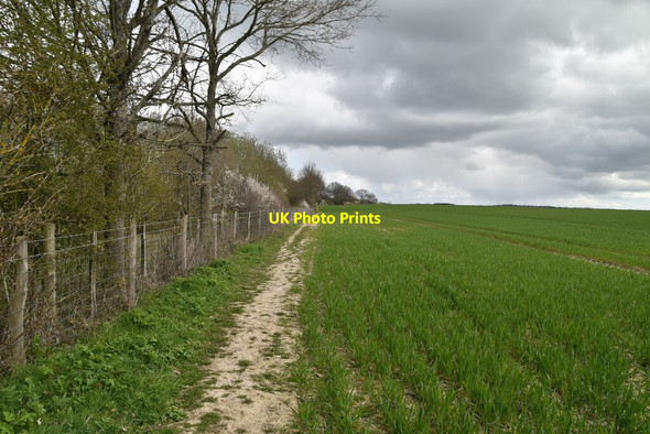 Photo 6"x4" Diverted path Great Job's Cross c2021