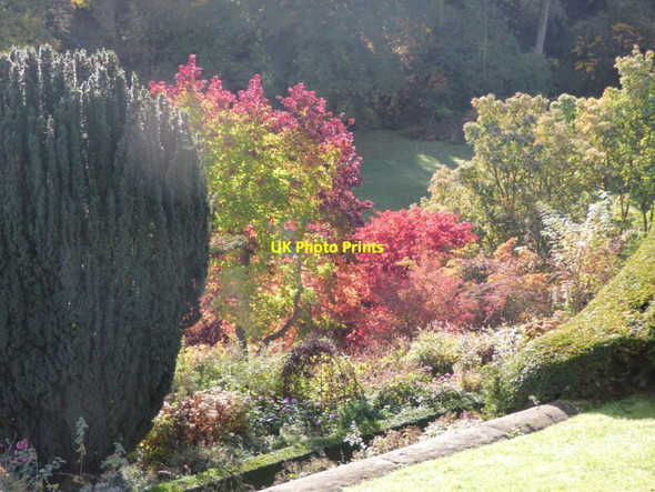 Photo 6"x4" Autumn colour at Powis Welshpool\/Y Trallwng c2017 P1