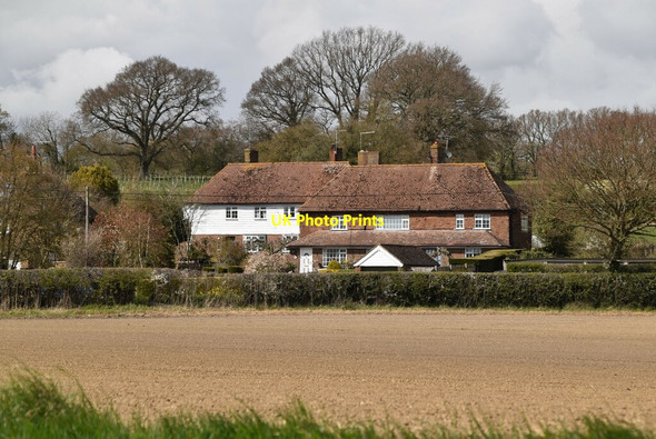 Photo 6"x4" Houses on Lossenham Lane Newenden c2021